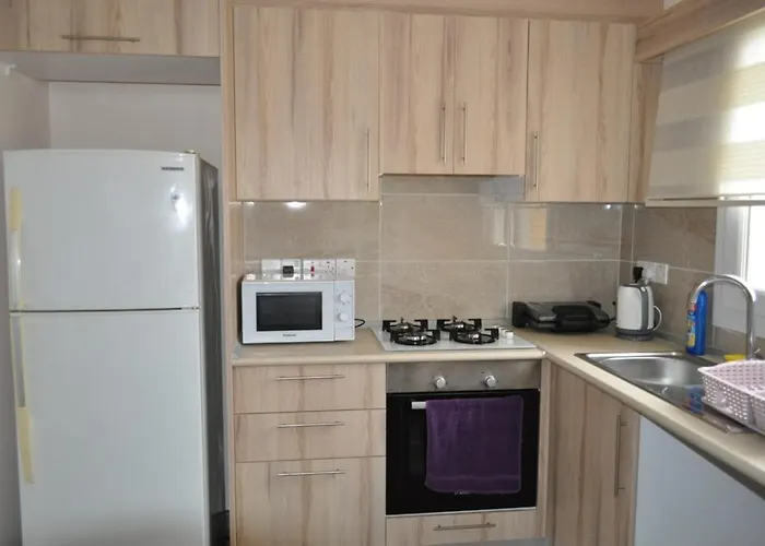 Alp Apartment